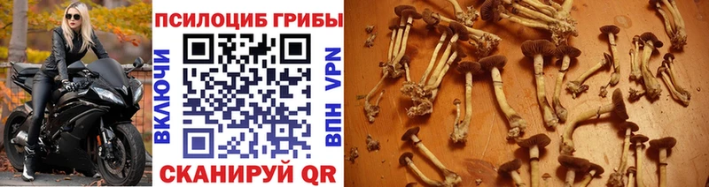 Псилоцибиновые грибы MAGIC MUSHROOMS  KRAKEN ССЫЛКА  Руза 